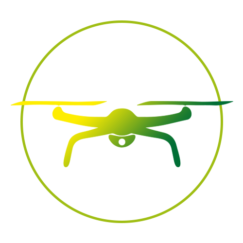 drone home inspections