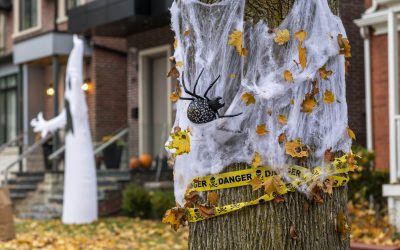 4 Guidelines for Safe Halloween Decorating